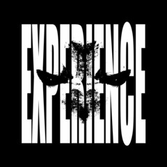 EXPERIENCE