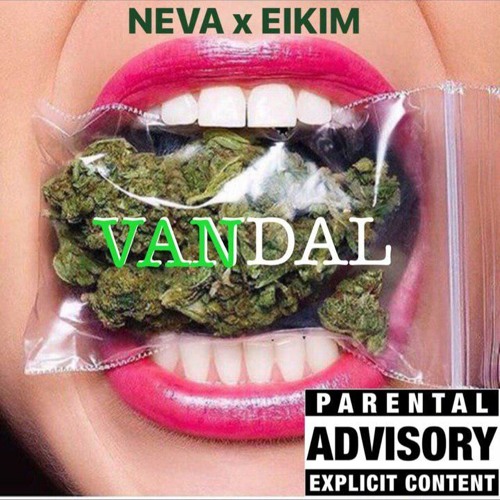 Neva & Eikim - VANDAL