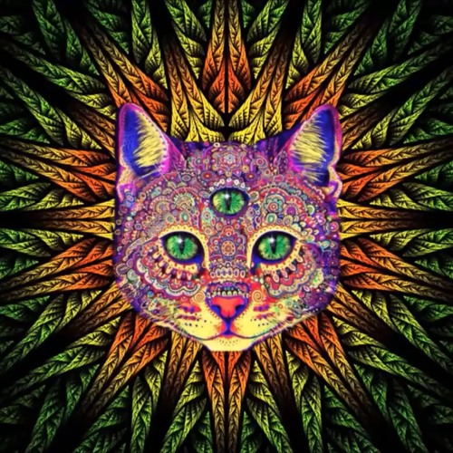 Stream Best Rave Party Songs Mix 1 PSY TRANCE MINIMAL GOA TRANCE 