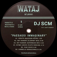 DJ SCM - Paesaggi Immaginary [12" Ep]