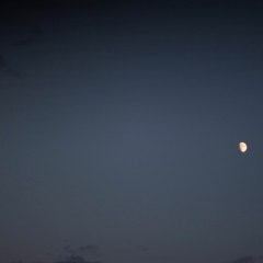 sleep (prod. nodle <3)