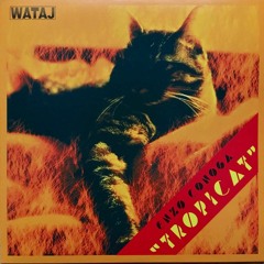 Enzo Conoga - Tropicat [Limited Edition 7" version]