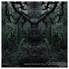 Stonecircle (Instrumental) [feat. Badasswolfshirt]