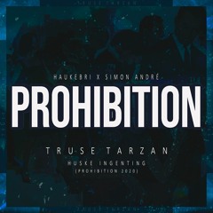 HUSKE INGENTING (Prohibition 2020) - Truse Tarzan