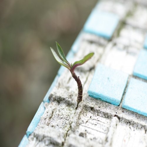 Hope