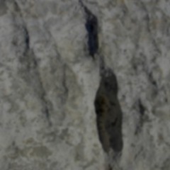 Les Visiteurs du soir - Je t'écris d'un pays (1985)