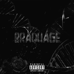 NASAAR - Braquage