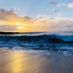 Ong Namo Happy New Year