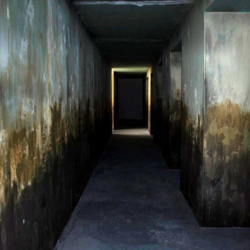 Muros / for amplified sextet and electronics