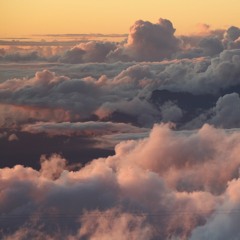 June Bunch and Luke Williams - Yet We Dream