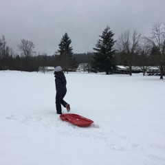 Self Realization Interlude 1