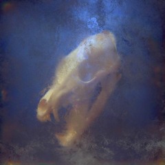 Kayzo x ALRT - Dark Skies (V3GA Bootleg)