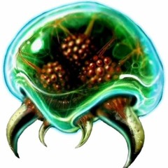 Metroid (Original Mix)