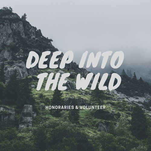 DEEP INTO THE WILD (feat. Volunteer)
