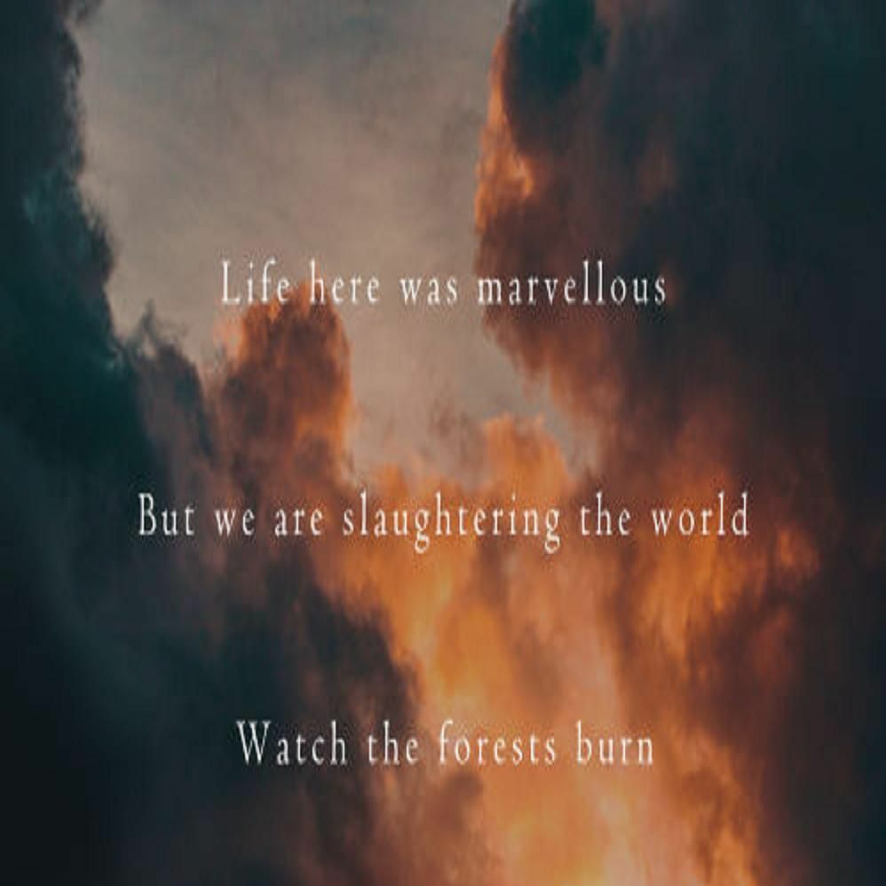 OneAmbient4 - But We Are Slaughtering The World (Naviarhaiku 311) episode artwork