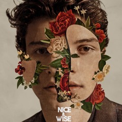 Shawn Mendes - If I Can't Have You (Nice & Wise Remix)