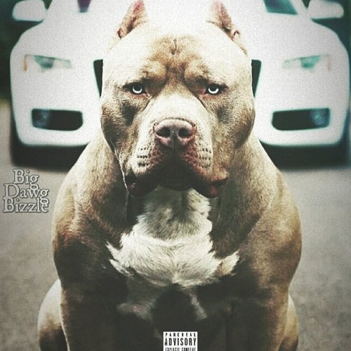 BIG DAWG BIZZLE