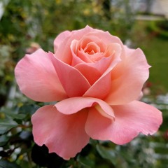 Những bài cover piano - an coong 2016