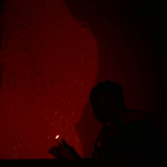 you said(woodpecker)