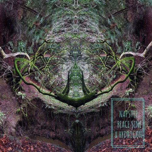 Napstep (Feat. Illusion Weaver)