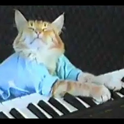 Stream Keyboard cat by Luker Listen online for free on SoundCloud