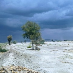 Ma chukke Balochanii