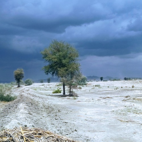 Balochi National Anthem |Maa Chokke Balochaane