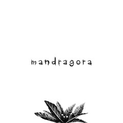 Mandragora 201219