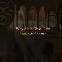 Why Allah Gives Pain By Shaykh Atif Ahmed Motivational Urdu Reminders