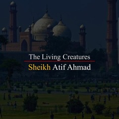 The Living Creatures By Shaykh Atif Ahmed Motivational Urdu Reminders