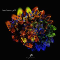 17. Emerging Patterns - What I Learn From Him