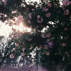 e v e r y t h i n g i w a n t e d