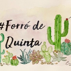 @forrodequintacg