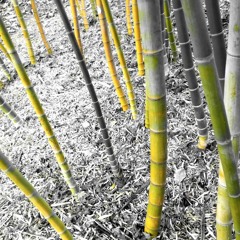 blow up (full version)