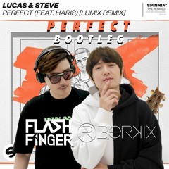 Perfect (Flash Finger & Roberkix Bootleg) [Buy = Free DL]