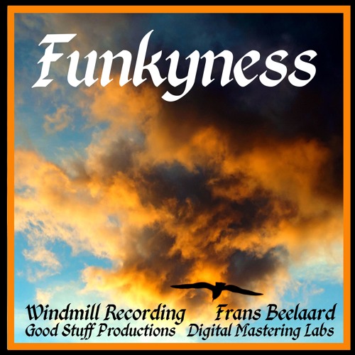 Funkyness