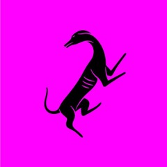 PET-MIX-009: Lighyer