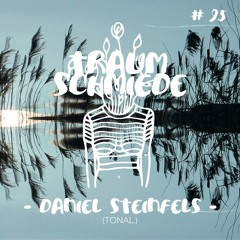 Die Fünfundneunzigste - Daniel Steinfels