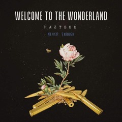 Haztekk -  Never enough