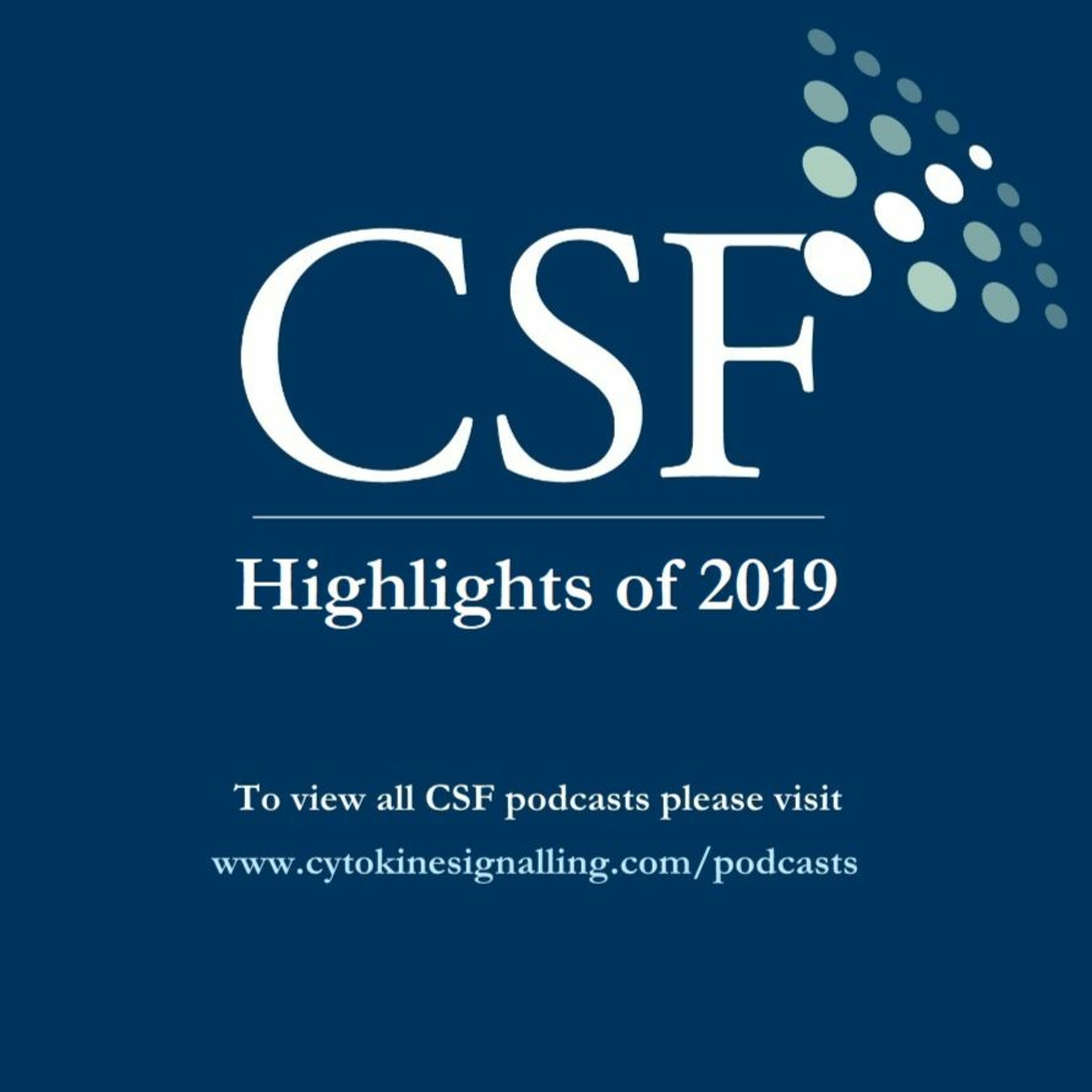 Highlights of 2019