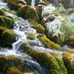 Aðfangadagur Jóla