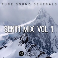 SENTI MIX VOL 1 | PURE SOUND GENERALS | BPRAAK | NINJA | AMMY VIRK |