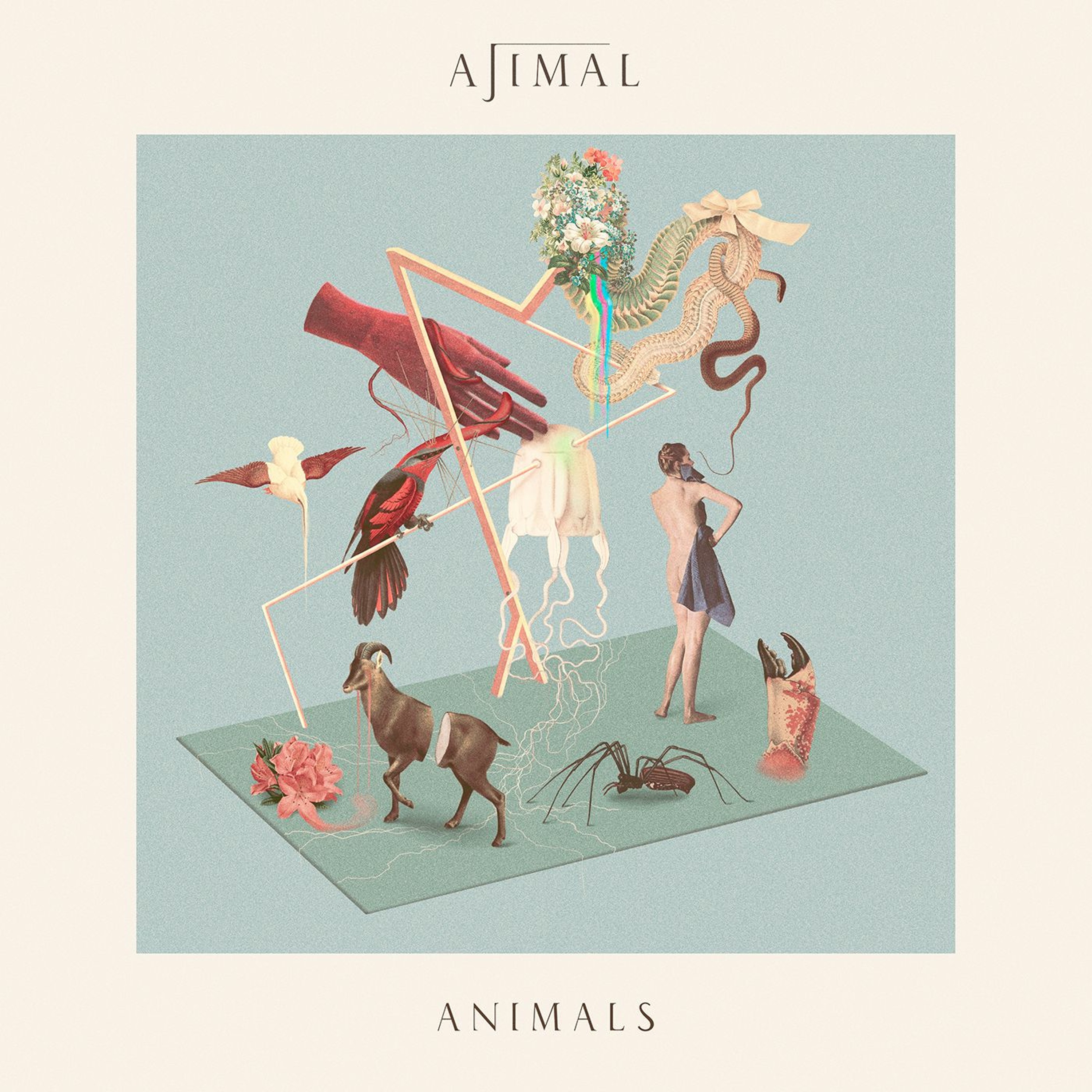 ANIMALS - Single edit