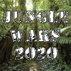 MOZDJ - Hoover Track (JUNGLE WARS 2020) - send fi Paluca & Rez Junglist / Free Download