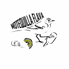 Motequilla flava