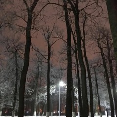 BLNTSMK - RAVE GRL (SELLGARAGE REMIX)