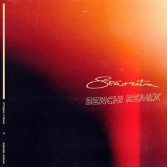 Shawn Mendes & Camila Cabello - Señorita (BENCHI's Deep House Remix)