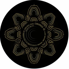 CRP 05_ XTECH - Stronger