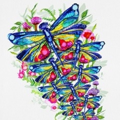 dragonfly