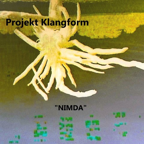 Projekt Klangform - NIMDA